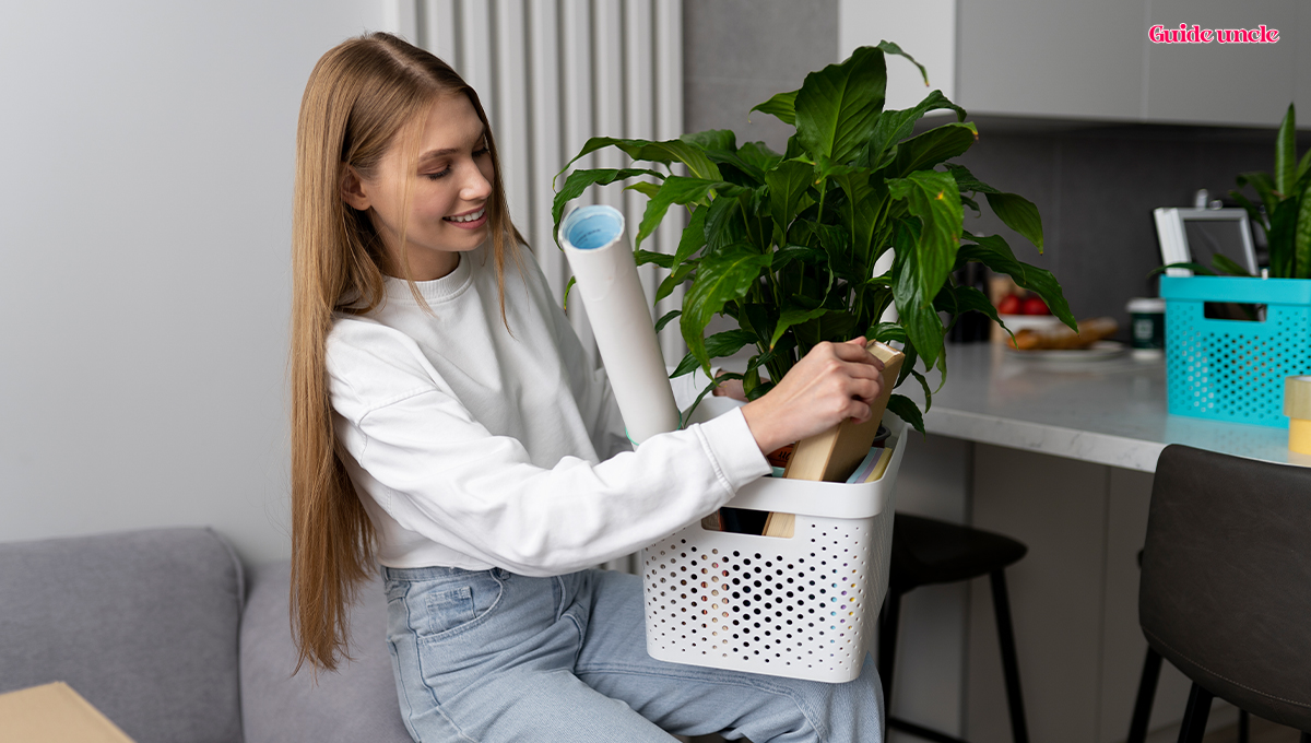 Best Indoor Plants